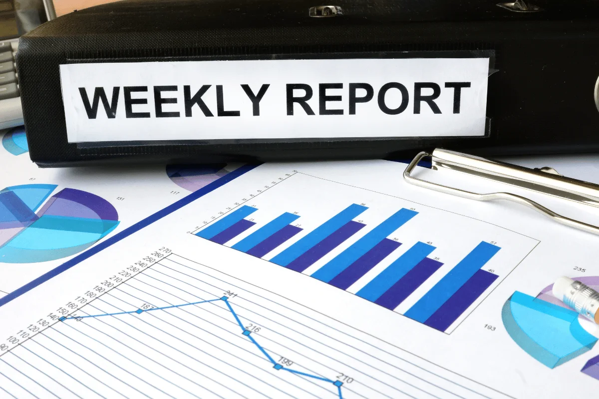 Weekly Performance Reports